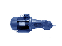 Насосы для топлива и масла Fraccarolo Pompe